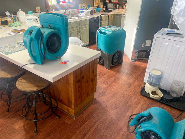 Best Sewage cleanup and water damage restoration  in Trinidad, CO
