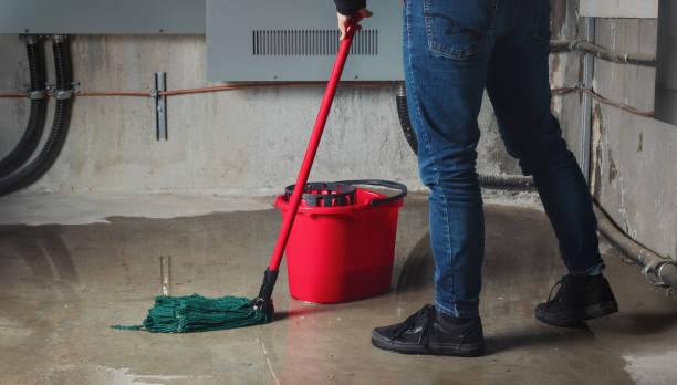 Reliable Trinidad, CO Water damage restoration Solutions