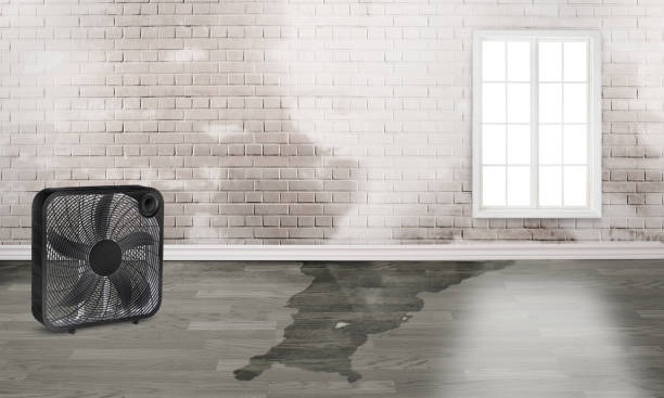 Water damage restoration insurance claims in Trinidad, CO